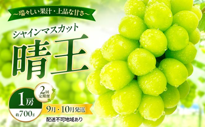 ぶどう 2026年 先行予約 定期便 シャインマスカット 晴王 1房 約700g 9月・10月 2回発送 岡山県産 種無し 皮ごと食べる みずみずしい 甘い 瀬戸内 晴れの国 おかやま 果物大国 満天フルーツ
