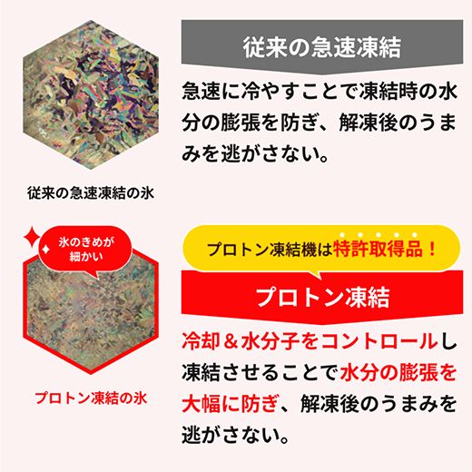 特撰近江牛おすすめ部位　焼肉3種300ｇ＆近江牛生ハンバーグ６個セット【FO41W】