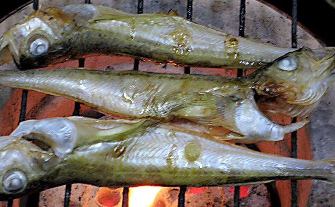 ハタハタ（特々大）干物 一夜干し 450g ×1箱【配送不可：離島】 魚貝類