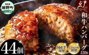 幻のあかうし和牛ハンバーグ 44個入り 1個120g 田野屋青蜂 白鯆 完全天日塩練り込み 肉 お肉 国産牛 土佐あかうし 四万十ポーク おかず 惣菜 おいしい お取り寄せ 冷凍 配送 高知県 田野町