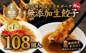 DM033　富士湧水ポーク使用　冷凍生餃子（秘伝の味噌ダレ付き）　108個