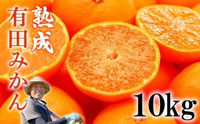 【先行予約】熟成　有田みかん 10kg（約100個）【11月20日以降順次発送】 EN003