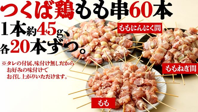 【 スピード 発送 】1本45g！合計約2700g！食べ応えバツグン、つくば鶏 焼き鳥 モモ 3種 60本 セット （各 20本 入り） 焼鳥 鶏肉 おかず おつまみ [AI11-NT]