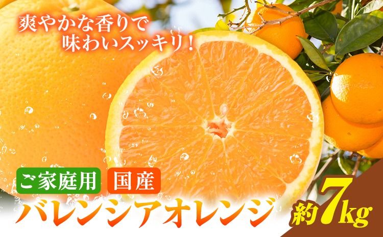 [ご家庭用訳あり]※先行予約※希少な国産バレンシアオレンジ 約7kg 株式会社魚鶴商店[2026年6月下旬-7月上旬出荷]和歌山県 日高川町---wshg_uot144_6g7j_25_16000_7kg---