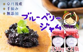 たっぷりサイズブルーベリージャム（通常）330g×2　ブルーベリー ジャム 無添加 手作り 加工食品 2本 ぶるーべりー じゃむ フルーツ 果物 アントシアニン 完熟 国産 朝食 朝ごはん トーストヨーグルト 生産者応援 農家応援 FG00007