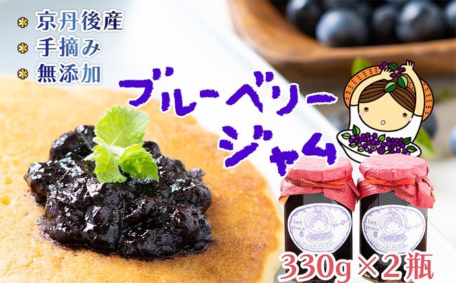 たっぷりサイズブルーベリージャム（通常）330g×2　ブルーベリー ジャム 無添加 手作り 加工食品 2本 ぶるーべりー じゃむ フルーツ 果物 アントシアニン 完熟 国産 朝食 朝ごはん トーストヨーグルト 生産者応援 農家応援 FG00007