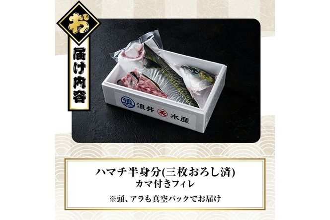 豊後ハマチ 若武者(三枚おろし半身) ハマチ はまち 鮮魚 旬 刺身 三枚おろし 国産 大分県 佐伯市 特産品【GS003】【浪井丸天水産】