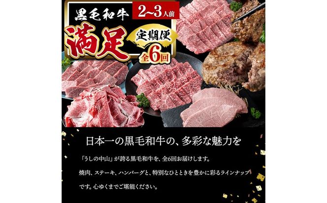 【定期便全6回】＜A4・A5等級＞黒毛和牛堪能〈満足〉定期便（2～3人分）総重量1.95kg t0069-001
