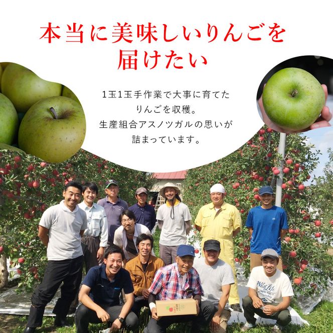 りんご【11月～2月発送】糖度13度以上 訳あり品 家庭用 ぐんま名月 約3kg【青森りんご】