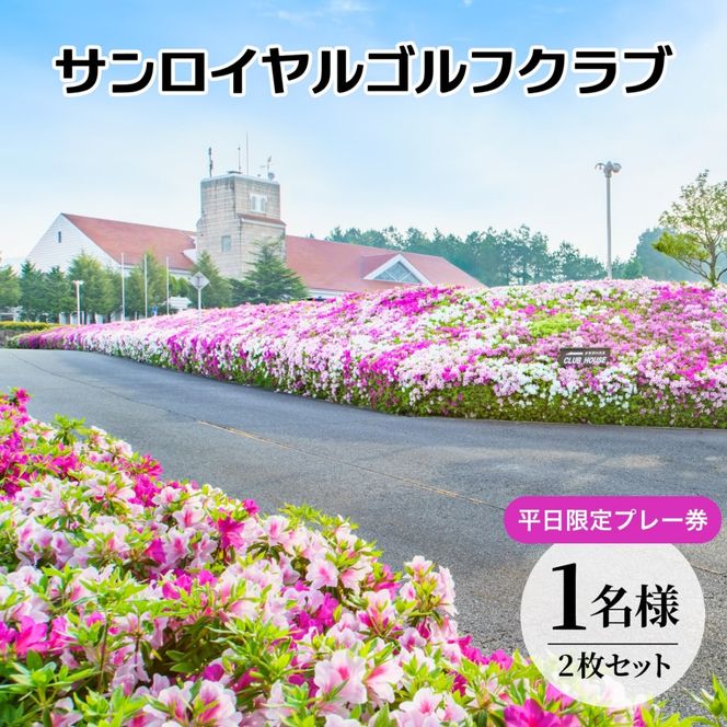 yɌszTCStNu  1l v[ (2Zbg) [ TCGC St s Ɍ ֐ St ] Stꗘp Љl l  X|[c R[X tbg Ch