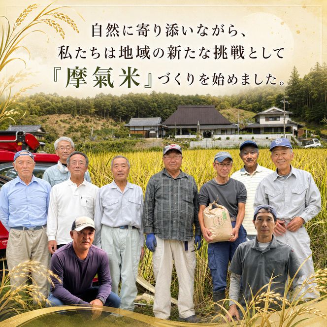 【定期便3回】令和8年産新米 有機堆肥栽培米 こしひかり 摩氣米 5kg コシヒカリ 精米 白米 米 コメ お米 おこめ ご飯 ごはん 京都 令和8年 5キロ 新米 新米26