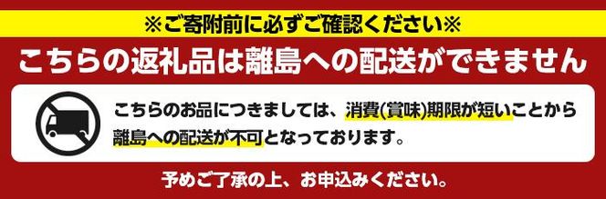 ＜訳あり＞さつまあげ(4種セット・合計19個) さつまあげ さつま揚げ 薩摩揚げ つけあげ 練り物 練物 おかず おつまみ 海産物 プレーン ゴボウ チーズ ダンガン 煮卵【椎木水産】akn054-02