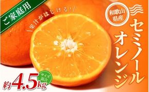 【ご家庭用】手選別 セミノールオレンジ 約4.5kg 和歌山県産 2S~2Lサイズ混合※2026年4月中旬～5月中旬頃に順次発送【mrmt027】