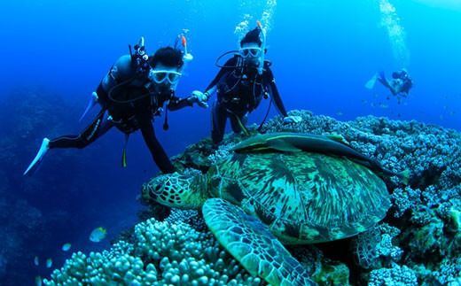 yꌧΊ_szPS-3 Ղʂ܃ANeBreBcA[p(10000~)