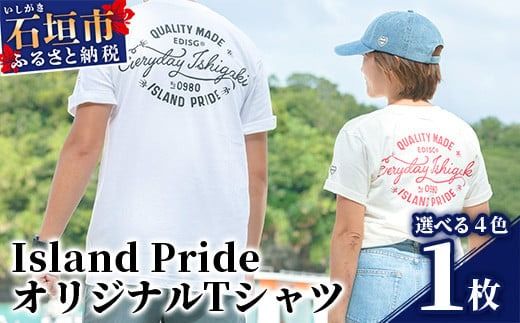 EDISG Tシャツ Island Pride【カラー:チャコール】【サイズ:Mサイズ】KB-66-1