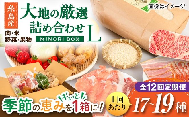 【全12回定期便】糸島産 肉 米 野菜 果物 厳選詰め合わせ MINORI BOX Lサイズ 糸島市 / emma.Inc / 米 肉 野菜 果物 詰め合わせ[AOP018]