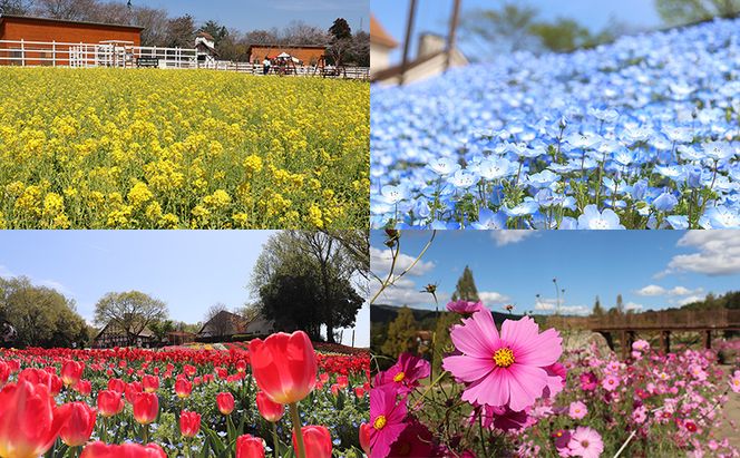 おかやまフォレストパーク ドイツの森 ペア 大人2名（1名×2枚） ご利用券 岡山県 赤磐市 チケット 体験