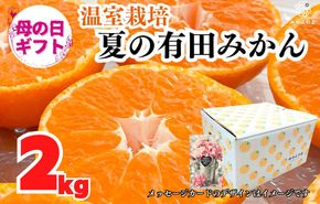 【母の日ギフト】ハウスみかん 温室栽培 夏の有田みかん 2kg 秀品 L M Sサイズのいずれか 和歌山県産 産地直送 【みかんの会】 AX360