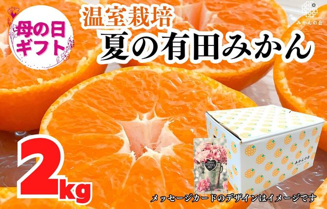 【母の日ギフト】ハウスみかん 温室栽培 夏の有田みかん 2kg 秀品 L M Sサイズのいずれか 和歌山県産 産地直送 【みかんの会】 AX360