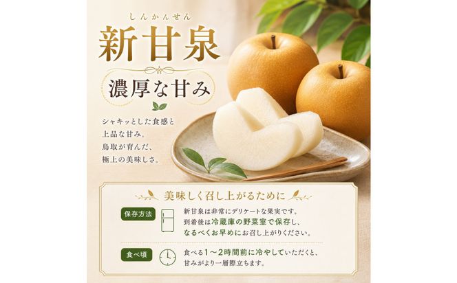 山根農園 新甘泉 2kg【2026年8月下旬以降発送】 313726_CY021