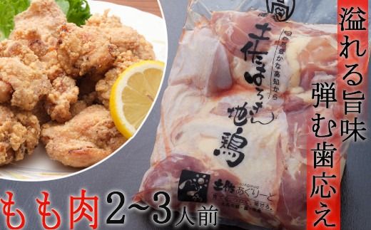 鶏肉 土佐はちきん地鶏もも500g むね肉500g 計1kg | 高知県ブランド地鶏 鳥肉 鶏肉 とりにく バーベキュー バーベキューセット BBQセット BBQ キャンプ キャンプ飯 焼肉 焼き肉 低カロリー 高タンパク 高たんぱく 高知県 室戸市!