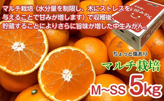 定期便 ちょっと 傷あり 5kg ×3 回 コース 有田みかん 食べくらべ 3種 全3回 南泰園 BS815