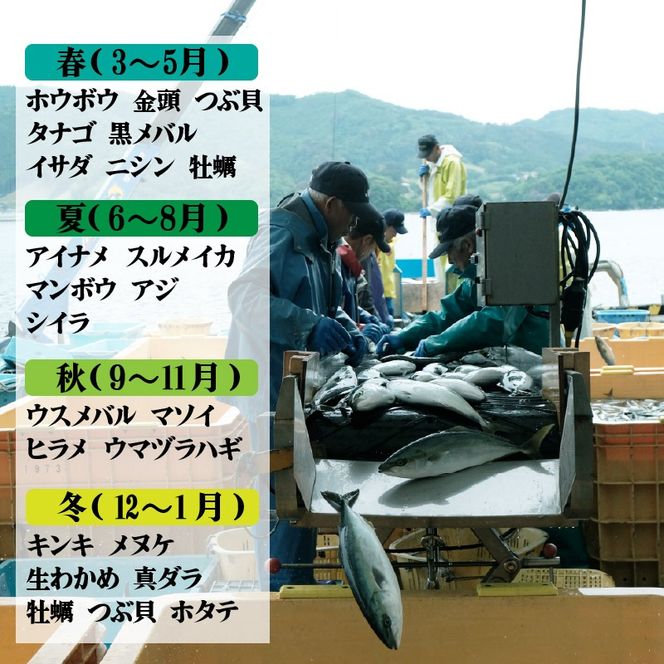 鮮魚便 海鮮 魚貝類 魚介類 鮮魚 旬 獲れたて 3～6匹 セット 詰め合わせ さかな おさかな 魚 海の幸 福袋 FISH ごはん 夕飯 おかず おつまみ 晩酌 米 丼 三陸産 岩手県 大船渡市 [56500295_1]