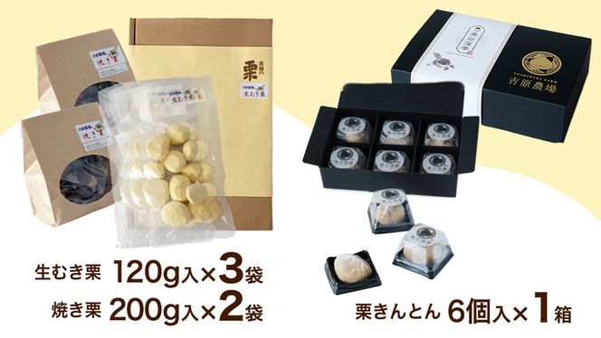 【 吉原農場 の 完熟栗 】熟成 栗 満喫 セット 令和7年産 栗の深雫 完熟  生むき栗 焼き栗 栗きんとん くり クリ 栗ごはん おかし お菓子 果物 フルーツ 数量限定 旬 秋 冬 正月 おせち [CX026ci]