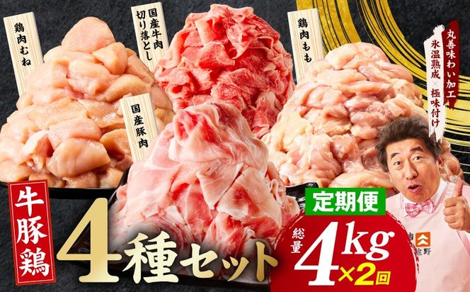 mrzZ088 【定期便】国産 牛豚鶏 4種セット 4kg×2回【氷温熟成×極味付け 牛肉 豚肉 鶏肉 もも むね 食べ比べ 普段使い 味付き 小分け 訳あり サイズ不揃い 毎月配送コース】