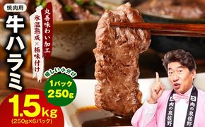 mrz0421 牛肉 ハラミ 1.5kg 小分け 250g×6P【氷温熟成×極味付け 牛肉 訳あり 不揃い 焼肉 BBQ 野菜炒め】