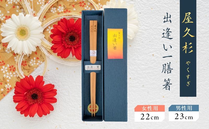 [選べる]屋久杉 出逢い一膳箸 女性用(22cm)or男性用(23cm) K042-007_SKU