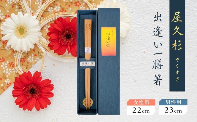 ＜選べる＞屋久杉 出逢い一膳箸 女性用（22cm）or男性用（23cm）　K042-007_SKU