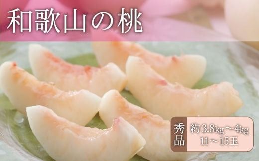 和歌山の桃 秀品 [約3.8～4kg] (サイズ・品種おまかせ) ※2026年6月中旬～2026年8月中旬頃に順次発送予定　紀伊国屋文左衛門本舗 和歌山 もも モモ 桃 果物 フルーツ 人気 産地直送 和歌山県 お取り寄せ【kztb800B】