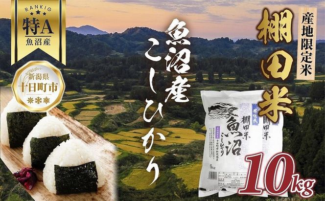 棚田米 魚沼産 コシヒカリ 10kg 新潟県 十日町市 松代地区 限定 棚田 こしひかり （お米屋秘伝！美味しいご飯の炊き方ガイド付き） 精米 ブランド米 銘柄米 