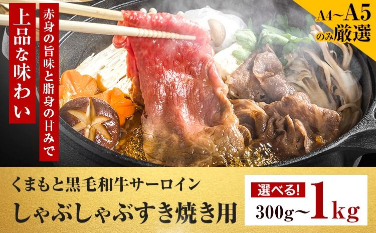 [厳選部位][A4〜A5]くまもと黒毛和牛 サーロイン しゃぶしゃぶ すき焼き用 選べる 300g 500g 600g 1000g [30日以内に出荷予定(土日祝除く)]熊本県 大津町 黒毛和牛 肉 お肉 和牛 牛 牛肉 A5 A4 サーロイン MEAT PLUS---so_fmpkksrs_30d_25_12000_300g---