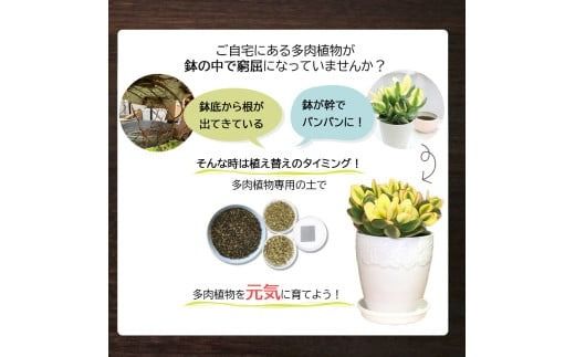 E102 培養土　【植え替え土セット】　多肉植物の土