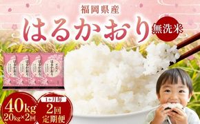 【 1ヶ月毎2回定期便 】 【 無洗米 】 はるかおり 20kg （ 5kg × 4袋 ） 計40kg お米 米 こめ コメ 白米 白飯 飯 ご飯 おにぎり 和食 国産 福岡県産 定期 定期配送
