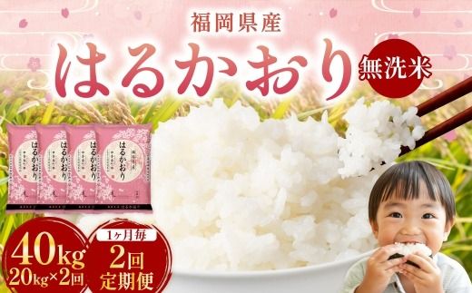 【 1ヶ月毎2回定期便 】 【 無洗米 】 はるかおり 20kg （ 5kg × 4袋 ） 計40kg お米 米 こめ コメ 白米 白飯 飯 ご飯 おにぎり 和食 国産 福岡県産 定期 定期配送