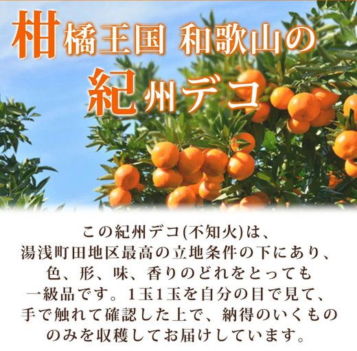 【先行予約】高級ブランド紀州和歌山 田村地区の完熟 紀州デコ（不知火）約8kg