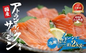 日本初 完全陸上養殖 静岡県小山町産 アトランティックサーモン 冷凍 8～9P 約2kg