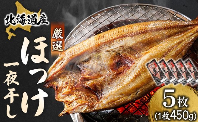 北海道産 ほっけ一夜干し（450～499g）×5枚 ｜ 釧路町の匠が贈る 北の至宝 ホッケ 干物 焼魚 焼き魚 白身魚 セット ひもの 魚干物 一人暮らし セット おかず 冷凍 スピード発送 すぐ届く 魚介類 海鮮 絶品 人気 ヒロセ すぐ発送 北海道 釧路町 釧路超 特産品