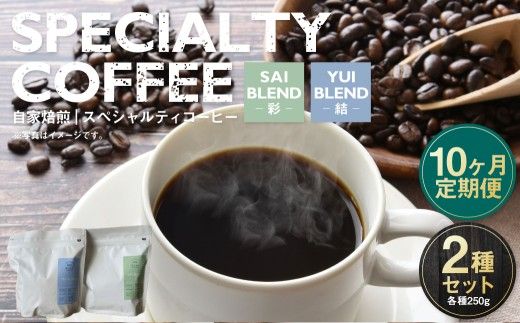 【定期便10ヶ月】自家焙煎スペシャルティコーヒー豆 250g×2種 | コーヒー豆 自家焙煎スペシャルティコーヒー ギフト 詰め合わせ