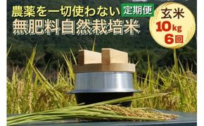 米 定期便 令和6年産 自然栽培米 にこまる ＜農薬を一切使わない無肥料栽培＞ 玄米 10kg×6ヶ月 60kg《新米 京都丹波産 無農薬米栽培向き 厳選品種 6回お届け》