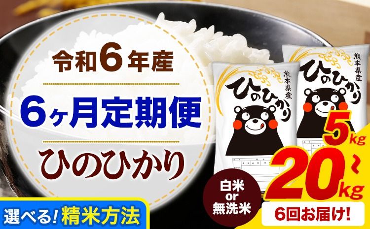 [6ヶ月定期便]令和6年産 白米 or 無洗米 ひのひかり 定期便あり 5kg 10kg 15kg 20kg [申込み翌月から発送]令和6年産 熊本県産 ふるさと納税 無洗米 白米 精米 ひの 米 こめ ふるさとのうぜい ヒノヒカリ コメ お米---mifune_lcl_118_mo6num1---