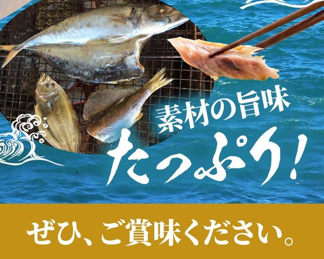 干物セットB　N014-YZB240