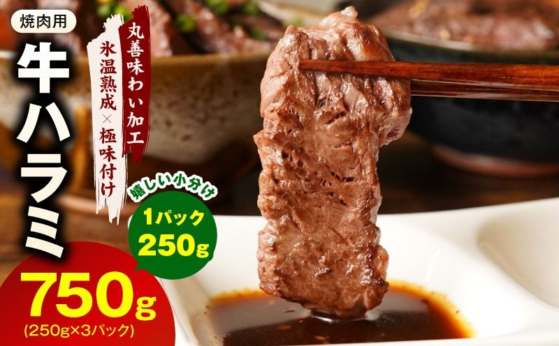 mrz0419 [スピード発送]牛肉 ハラミ 750g 小分け 250g×3P[氷温熟成×極味付け 牛肉 訳あり 不揃い 焼肉 BBQ 野菜炒め 圧倒的企業努力]