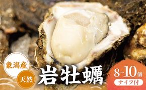 【先行予約 7月上旬～下旬発送予定】象潟産　天然岩牡蠣 8～10個 ナイフ付【牡蠣 夏牡蠣 かき 象潟 生食可 魚介類 海鮮　海産物 海の幸】　
