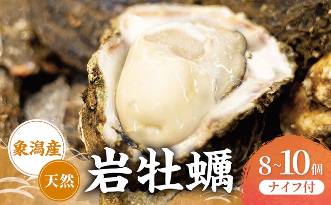 【先行予約 7月上旬～下旬発送予定】象潟産　天然岩牡蠣 8～10個 ナイフ付【牡蠣 夏牡蠣 かき 象潟 生食可 魚介類 海鮮　海産物 海の幸】　