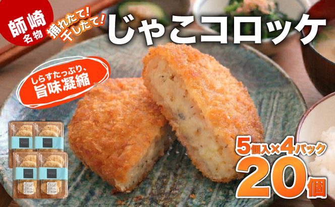 師崎名物じゃこコロッケ 20個 しらす コロッケ 揚げ物 フライ 小分け 惣菜 晩御飯 おすすめ 人気 愛知県 知多 特産品 南知多町
