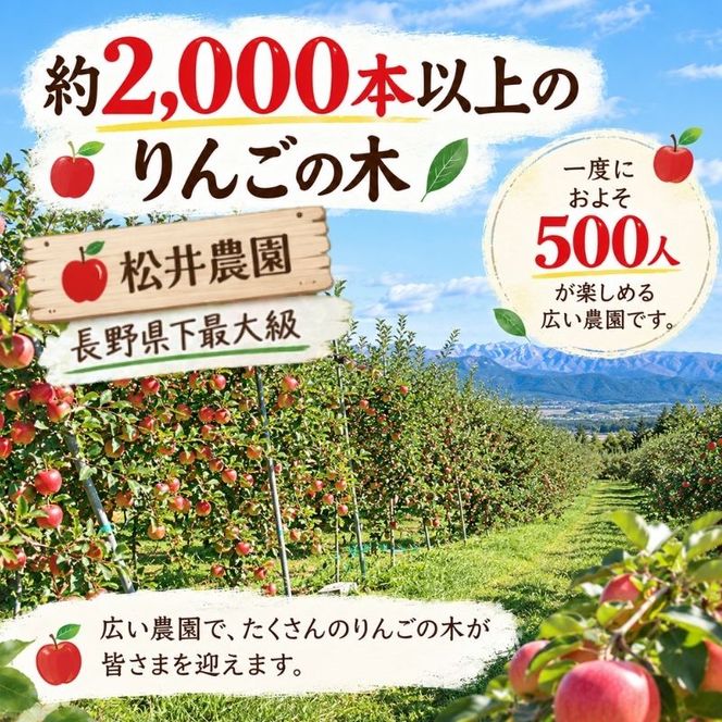 長野県下最大級 りんご狩り体験 りんご狩り発祥園 体験チケット 環境 優しい 安心 安全 こだわり 低農薬 有機肥料 循環型 定番 オリジナル 新品種　 